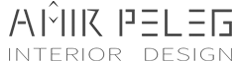 אמיר פלג